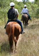 Trail Ride